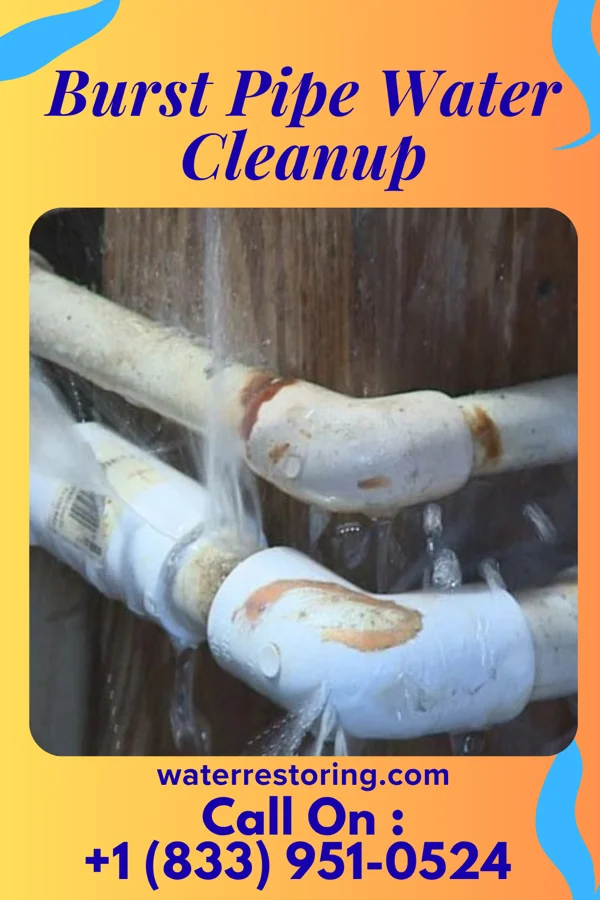 Burst Pipe Water Cleanup in Pittsburgh, PA