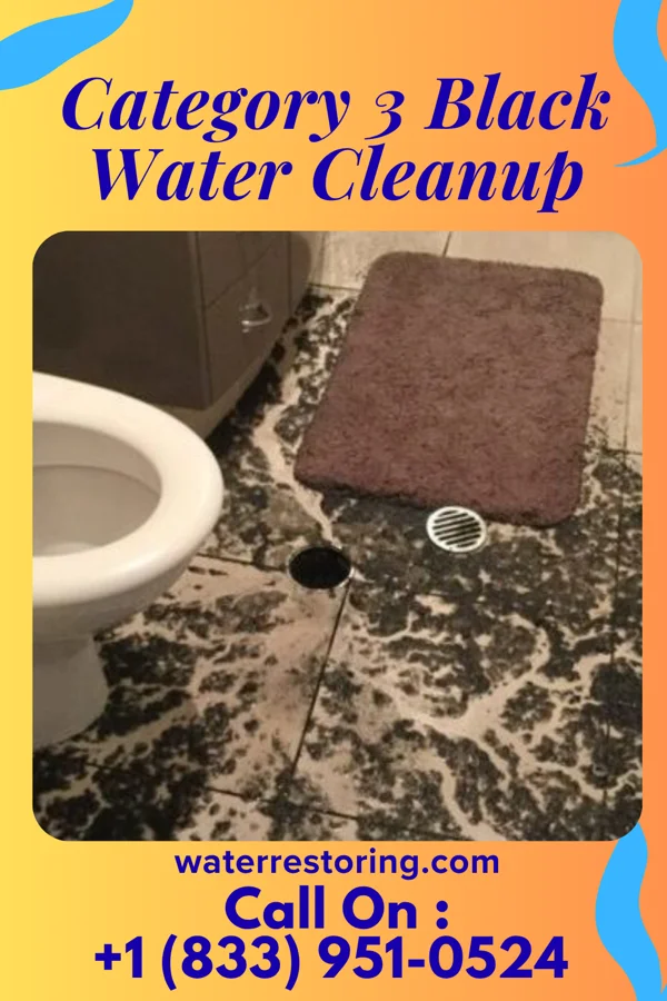 Category 3 Black Water Cleanup in Pittsburgh, PA